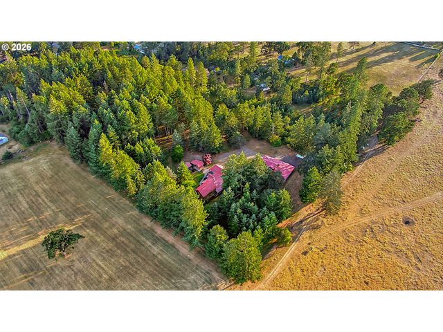 89989 GOLDIE Ln, Elmira, OR 97437