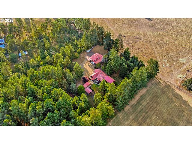 89989 GOLDIE Ln, Elmira, OR 97437