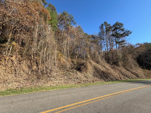 0 Whitepath Road, Ellijay, GA 30540