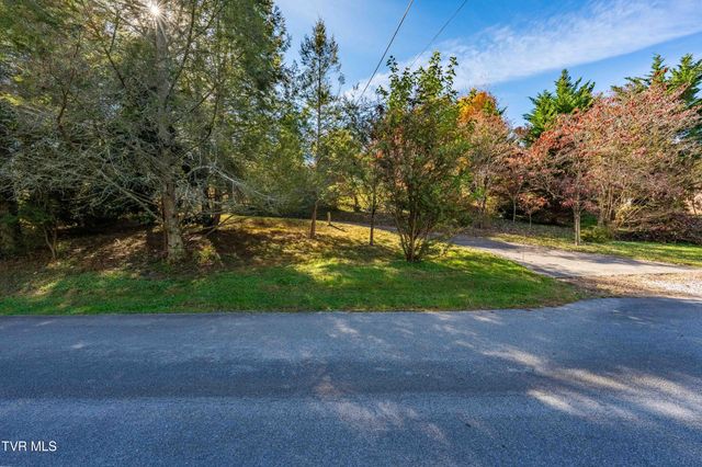 313 Milburn Avenue, Kingsport, TN 37660