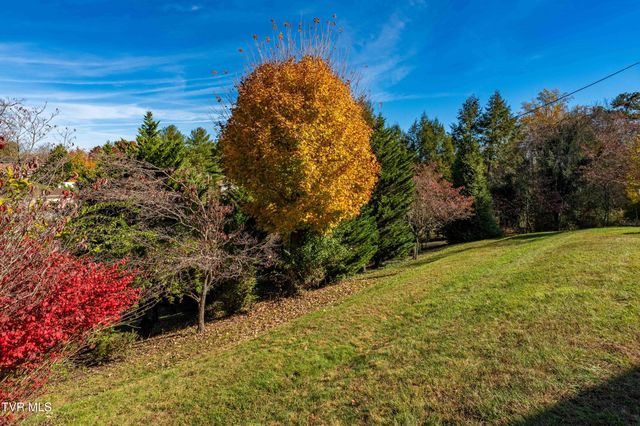 313 Milburn Avenue, Kingsport, TN 37660