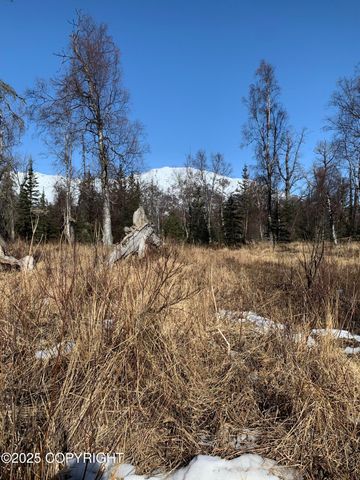 8126 Wasilla-Fishhook Road, Wasilla, AK 99654