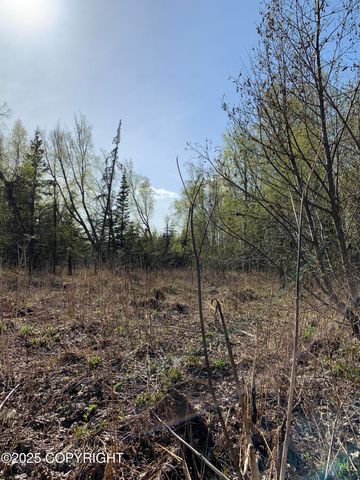8126 Wasilla-Fishhook Road, Wasilla, AK 99654