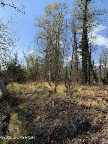 8126 Wasilla-Fishhook Road, Wasilla, AK 99654