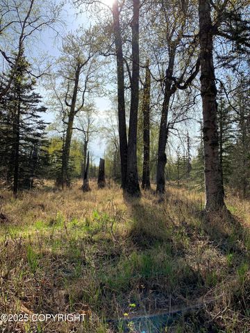 8126 Wasilla-Fishhook Road, Wasilla, AK 99654