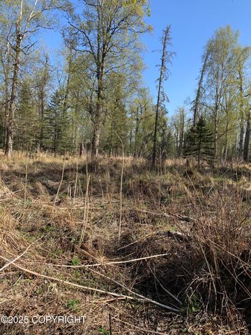 8126 Wasilla-Fishhook Road, Wasilla, AK 99654