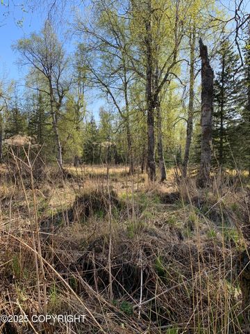 8126 Wasilla-Fishhook Road, Wasilla, AK 99654