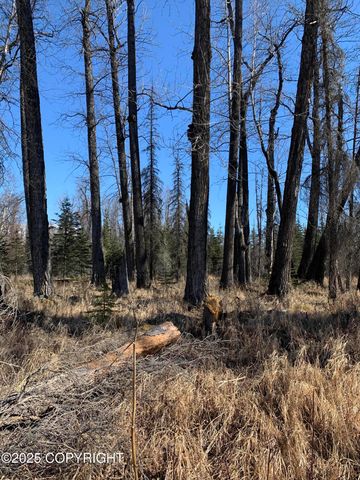 8126 Wasilla-Fishhook Road, Wasilla, AK 99654