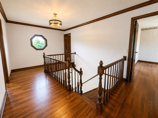 6723 Kingswood Road, Willowbrook, IL 60527