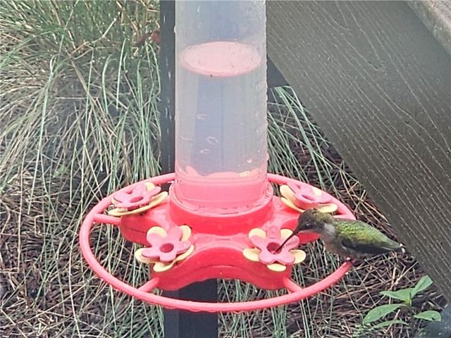 1524 Holly Lake Circle, Snellville, GA 30078