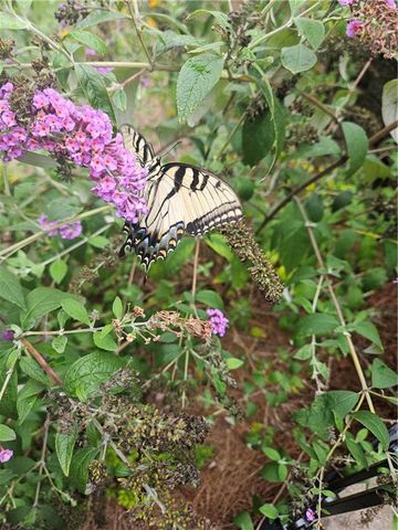 1524 Holly Lake Circle, Snellville, GA 30078