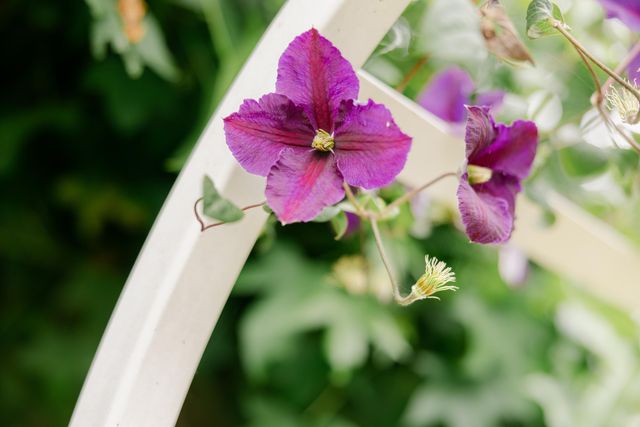 2271 Grace Avenue, Mckinleyville, CA 95519