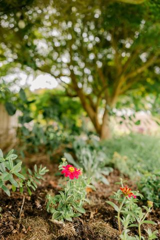 2271 Grace Avenue, Mckinleyville, CA 95519