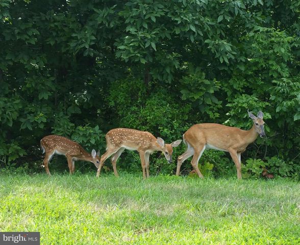 10228 BROADSWORD DR, Bristow, VA 20136