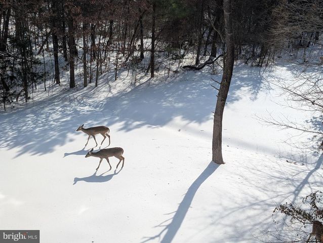 10228 BROADSWORD DR, Bristow, VA 20136