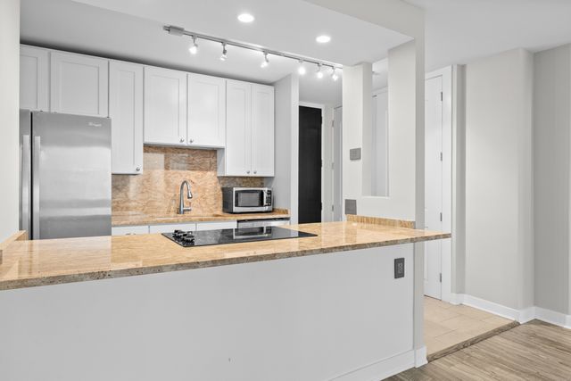 535 N Michigan Avenue 1106, Chicago, IL 60611