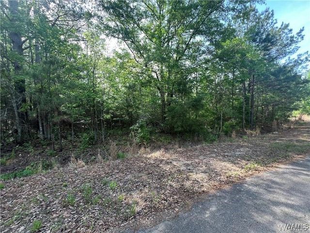0 Hobby Horse Rd, Vance, AL 35490