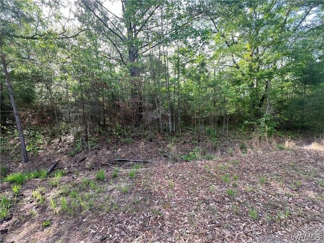 0 Hobby Horse Rd, Vance, AL 35490