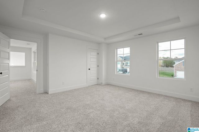 1124 BIRCHWOOD LANE, Alabaster, AL 35007