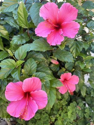 13 W Garden Green, Port Hueneme, CA 93041