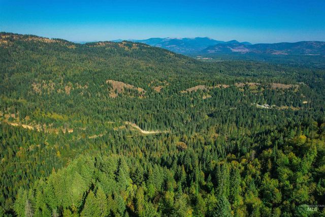 NKA Bodie Canyon Dr., Priest River, ID 83856