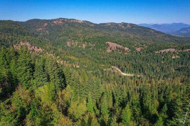 NKA Bodie Canyon Dr., Priest River, ID 83856