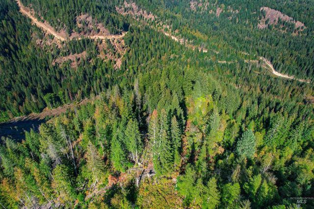 NKA Bodie Canyon Dr., Priest River, ID 83856
