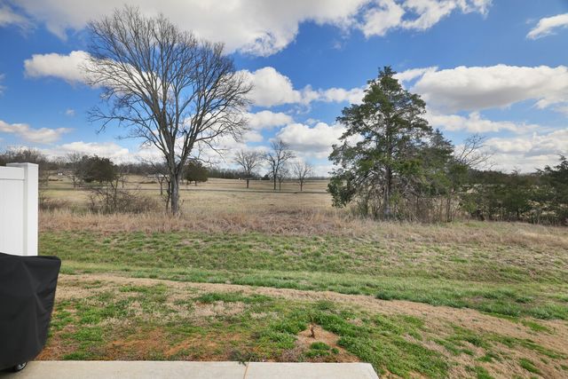 733 Lipizanner Ln, Smyrna, TN 37167