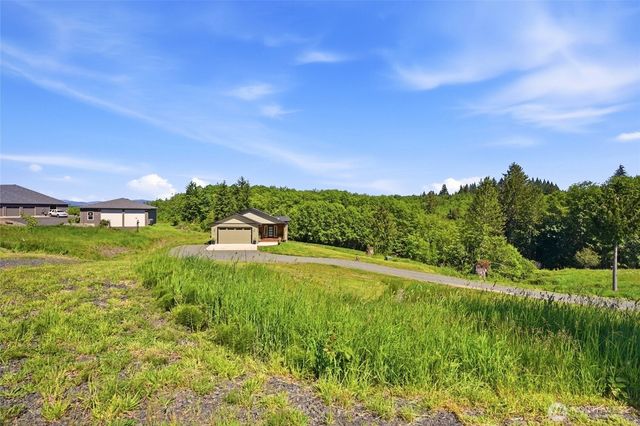 200 Red Hawk Drive, Castle Rock, WA 98611