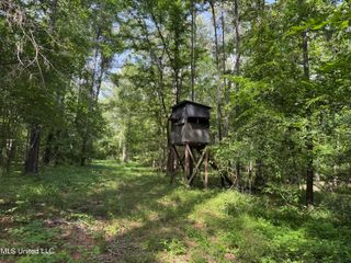 2550 Moncure Road, Terry, MS 39170