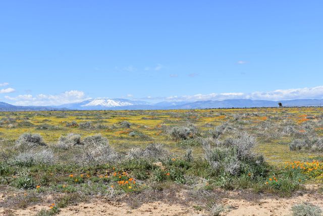 Cor Avenue C12 & 141st St West, Fairmont, CA 93536