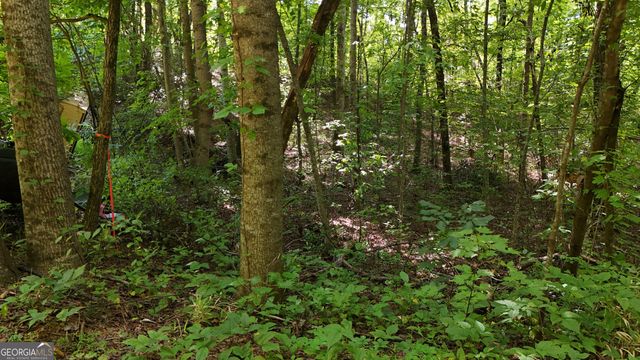 LOT 195 Fern Valley Trail, Clarkesville, GA 30523