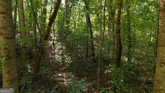 LOT 195 Fern Valley Trail, Clarkesville, GA 30523