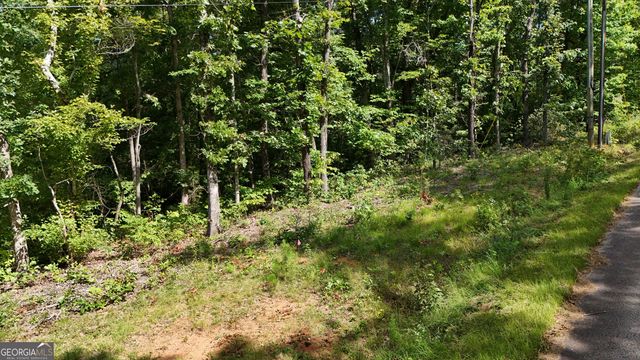 LOT 195 Fern Valley Trail, Clarkesville, GA 30523