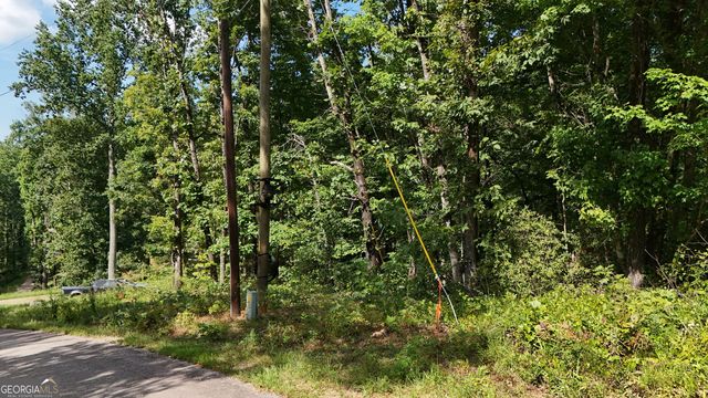 LOT 195 Fern Valley Trail, Clarkesville, GA 30523