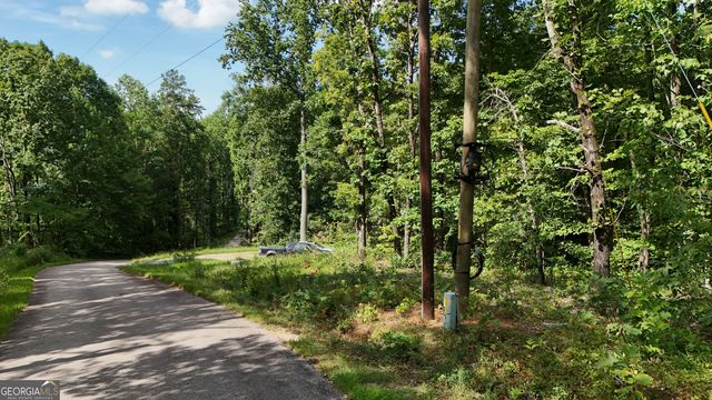 LOT 195 Fern Valley Trail, Clarkesville, GA 30523