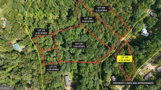 LOT 195 Fern Valley Trail, Clarkesville, GA 30523