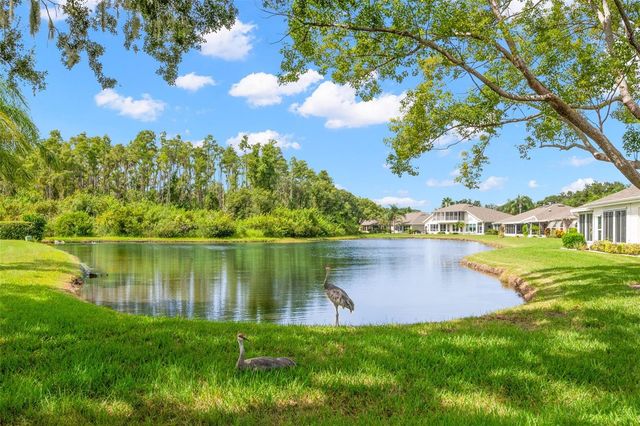 713 MANCHESTER WOODS DRIVE, Sun City Center, FL 33573