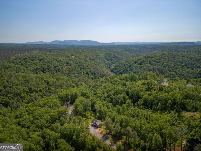 196 N Jakes Landing Way, Ellijay, GA 30540