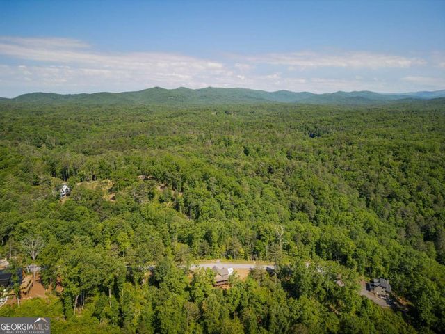 196 N Jakes Landing Way, Ellijay, GA 30540