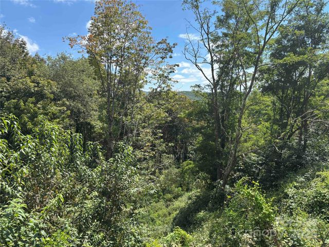 TBD Linhigh Drive 66, Newland, NC 28657