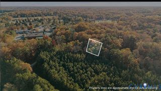 2908 Mount Clair Rd, Chester, VA 23831