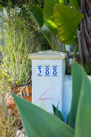 388 Bonair St, San Diego, CA 92037