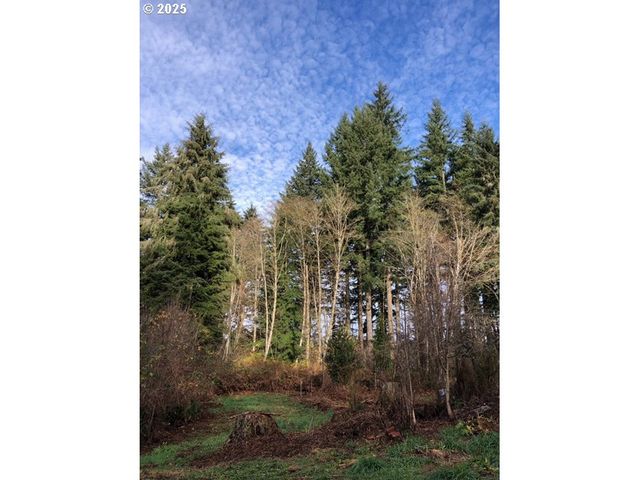 17719 Ne MANNING Cir, Amboy, WA 98601