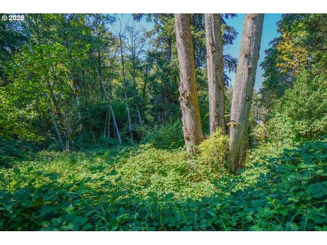 17719 Ne MANNING Cir, Amboy, WA 98601