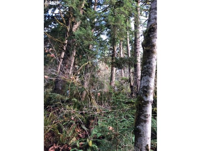 17719 Ne MANNING Cir, Amboy, WA 98601