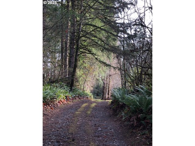 17719 Ne MANNING Cir, Amboy, WA 98601