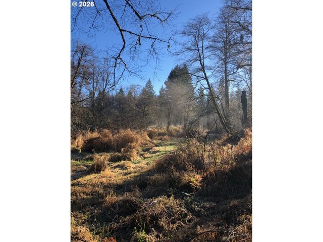 17719 Ne MANNING Cir, Amboy, WA 98601