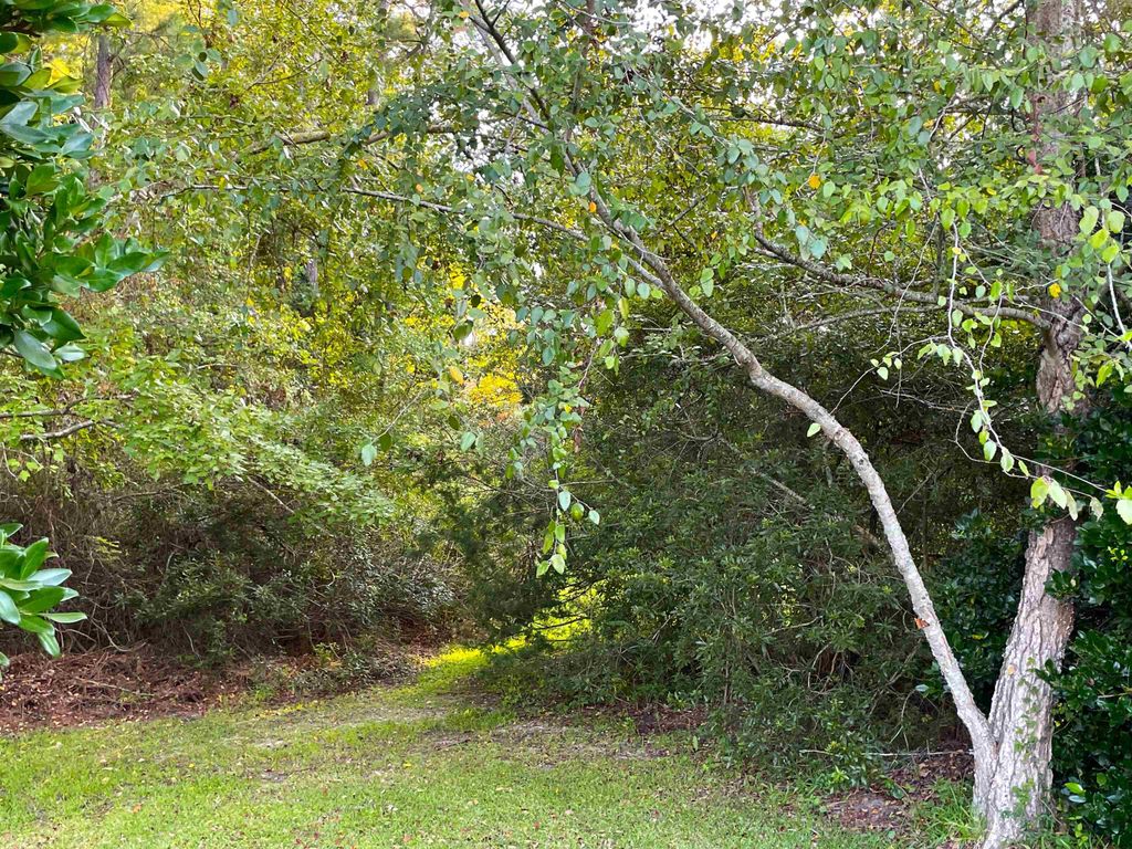 500 Spauldingwood Rd., Little River, SC 29566 — photo 3