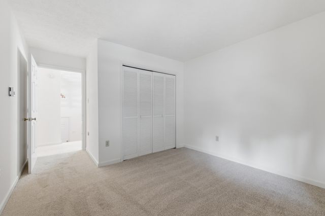 2800 ROCKY BRANCH RD, Luray, VA 22835